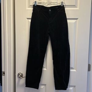 Talbots black velvet pants - Size 14P (EUC)
